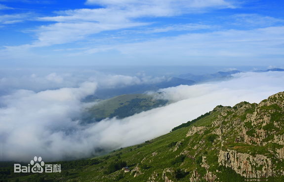 雙鴨山景色